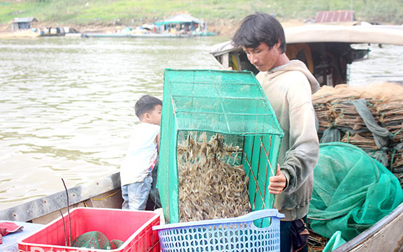 Đồng Nai: Khi nước hồ Trị An xuống thấp, sau 1 đêm đánh bắt, dân đổ ra toàn tôm tươi nhảy tanh tách