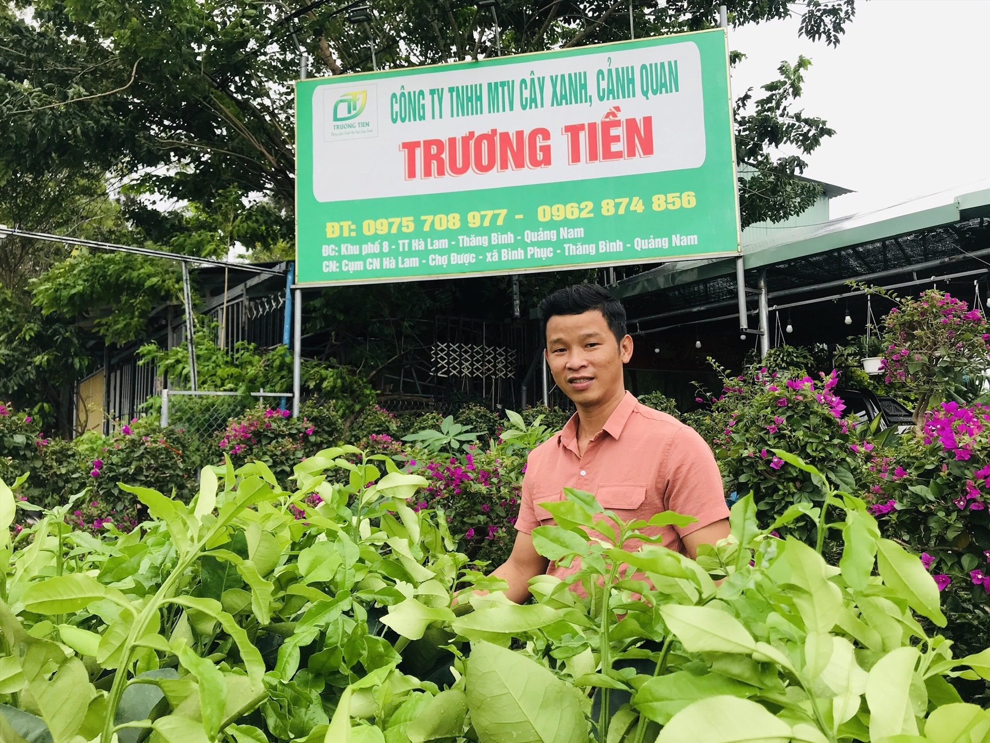 Quảng Nam: Thôi làm nhà nước, trai làng 9X xoay sang trồng cây cảnh quan, năm 2021 doanh thu gần 10 tỷ, lãi bao nhiêu? - Ảnh 1.