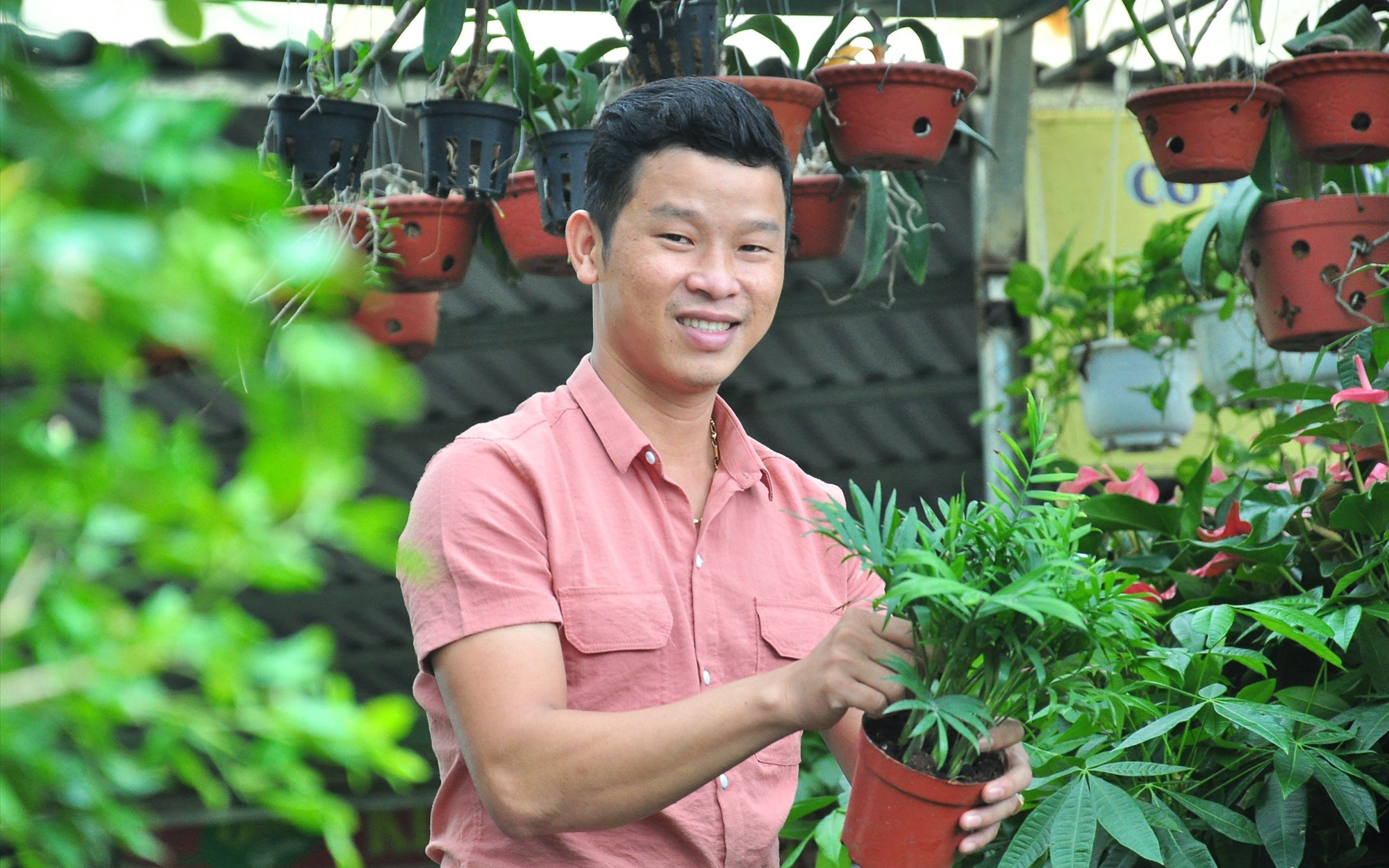 Quảng Nam: Thôi làm nhà nước, trai làng 9X xoay sang trồng cây cảnh quan, năm 2021 doanh thu gần 10 tỷ, lãi bao nhiêu?