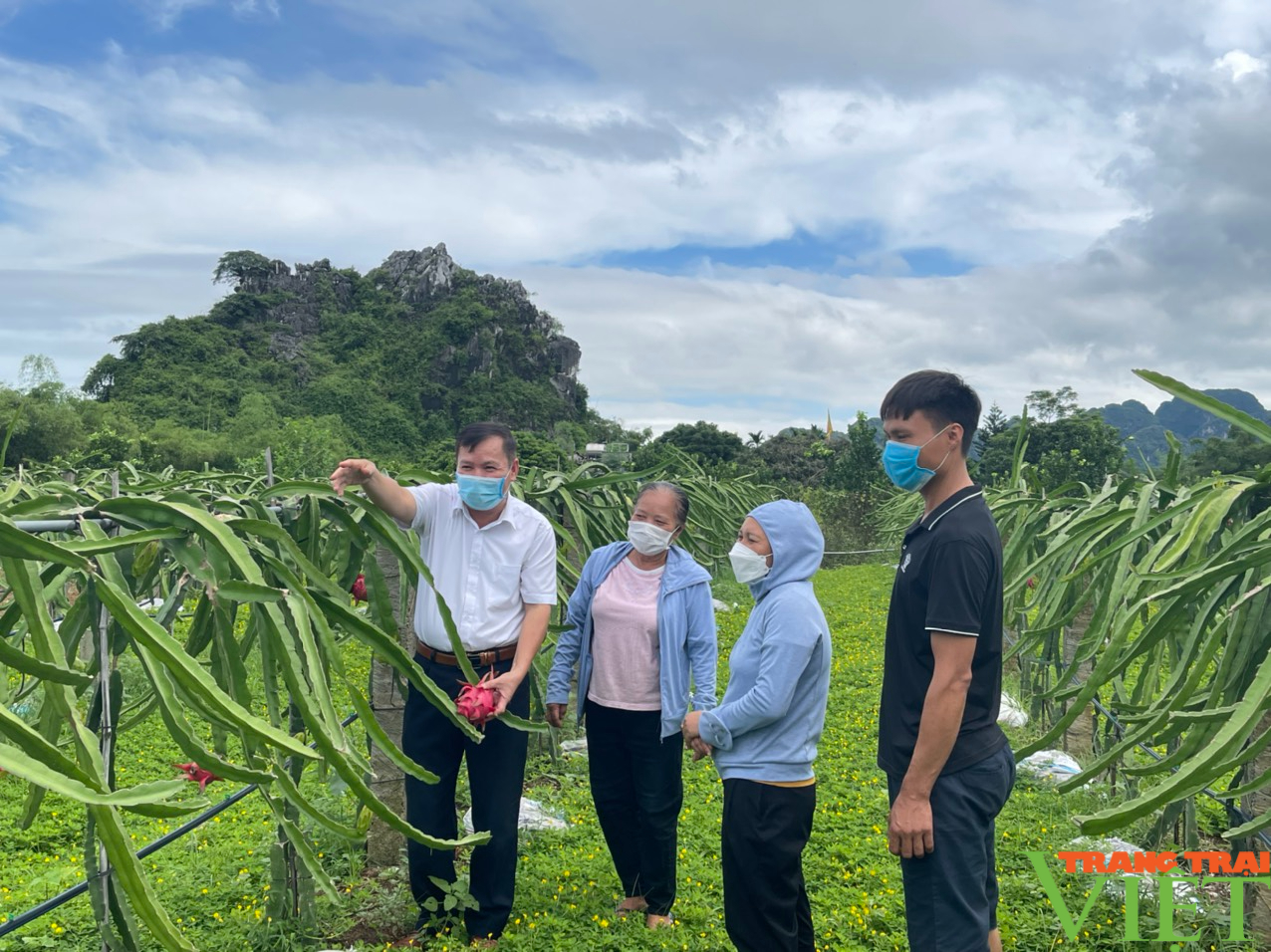 Hội Nông dân Hoà Bình: Phát huy sức mạnh của hội viên phát triển kinh tế và XDNTM - Ảnh 3.