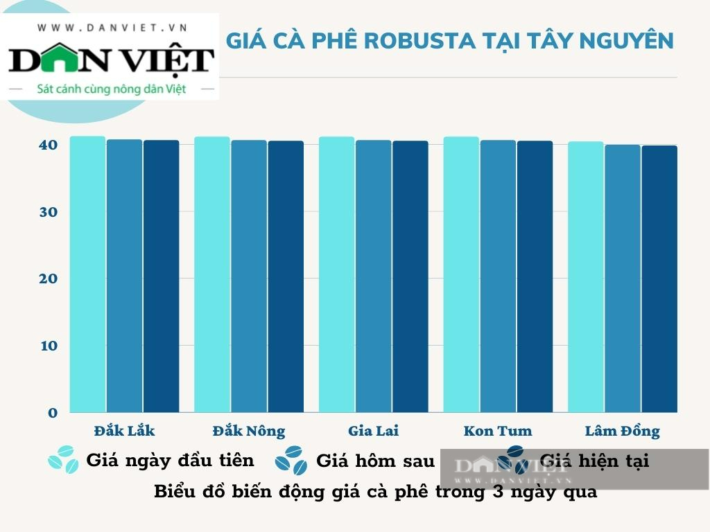 Giá cà phê Robusta Đắk Lắk liên tục giảm, bất ngờ tác dụng của cây chuối trong vườn cà phê - Ảnh 1.