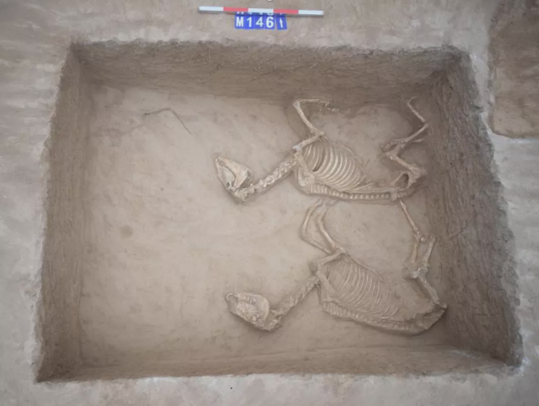Khai quật nghĩa địa khổng lồ hàng trăm mộ cổ chứa đầy bảo vật quý hiếm ở Trung Quốc - Ảnh 5.