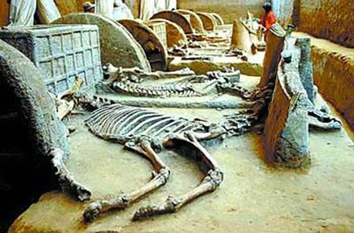 Trung Quốc: Phát hiện bất ngờ về Vua nhà Tấn và “kho báu” từ khu mộ cổ 3.000 năm tuổi - Ảnh 7.