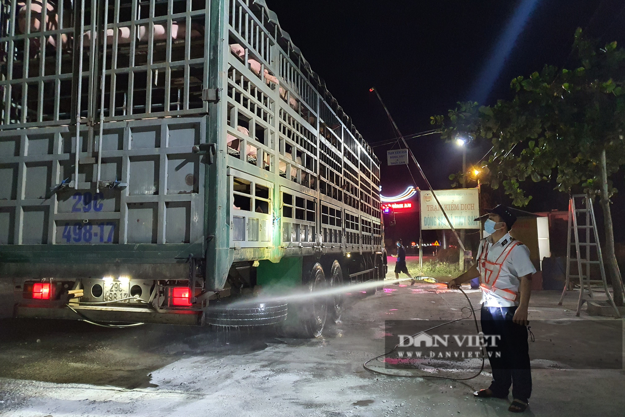 Thanh Hoá công bố hết dịch tả lợn châu Phi - Ảnh 2.