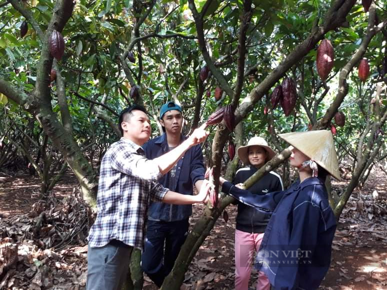 Đắk Lắk: Người đưa sản phẩm nông nghiệp quê nhà ra thị trường thế giới - Ảnh 2.