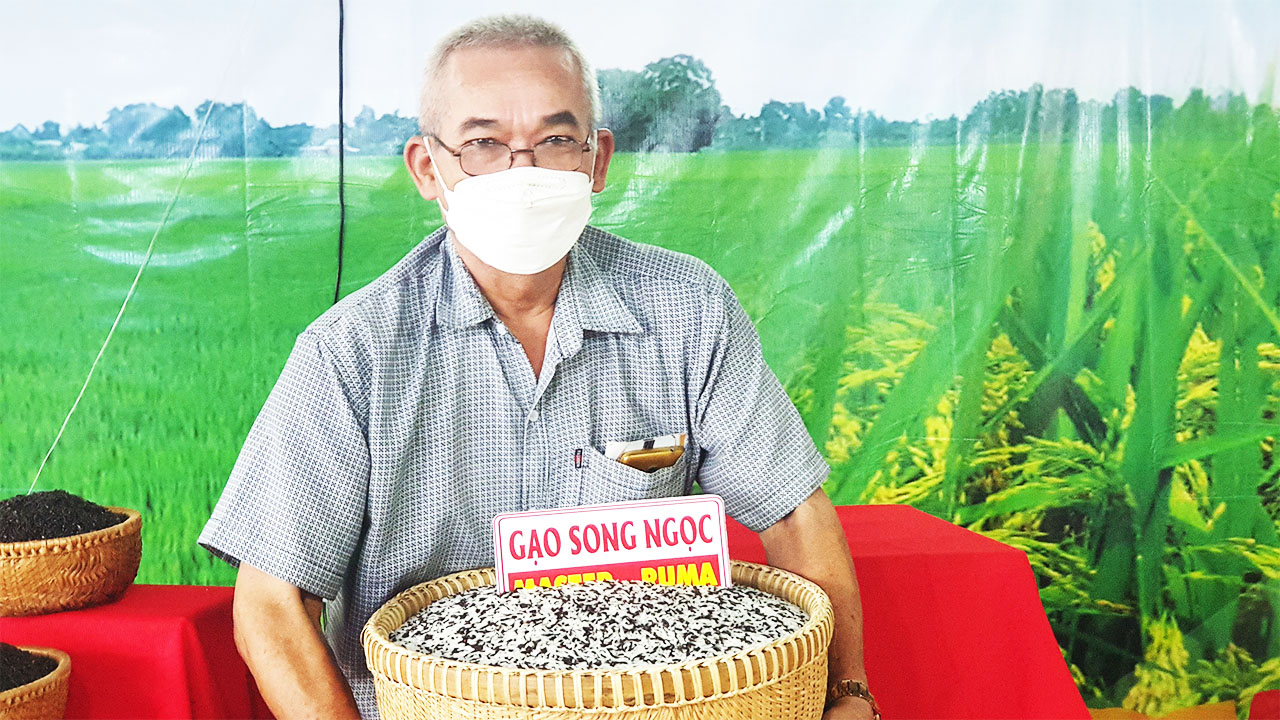 Việt Nam là quốc gia xuất khẩu gạo đứng thứ ba thế giới nhưng thiếu vắng sản phẩm chế biến sâu - Ảnh 1.