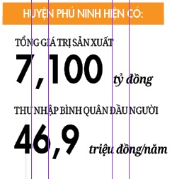 Phú Ninh chuyển mình  - Ảnh 2.