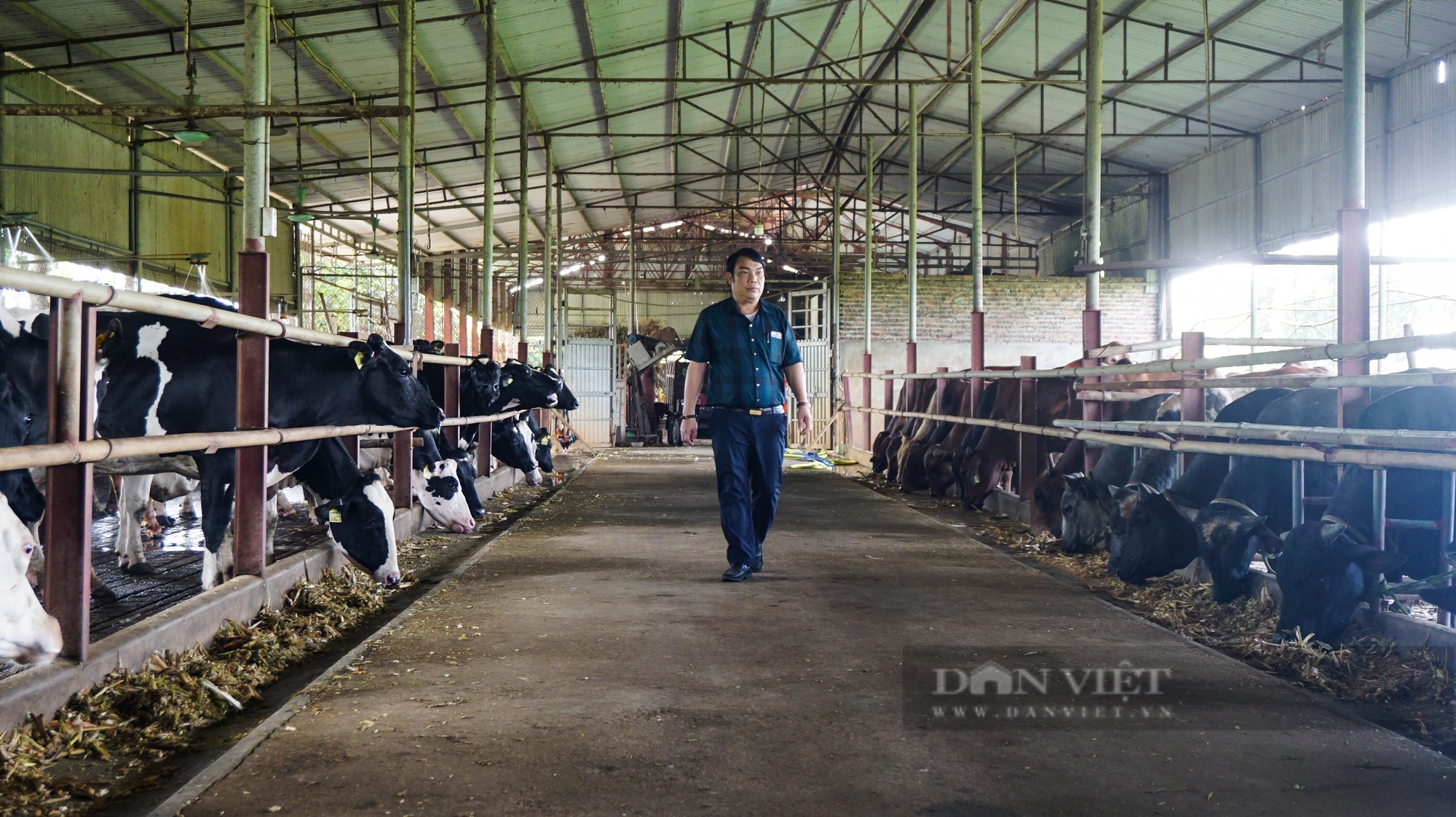 Nông dân Việt Nam xuất sắc 2022 đến từ Hà Nội là tỷ phú nuôi bò 1.000 con, doanh thu 65 tỷ đồng/năm - Ảnh 2.