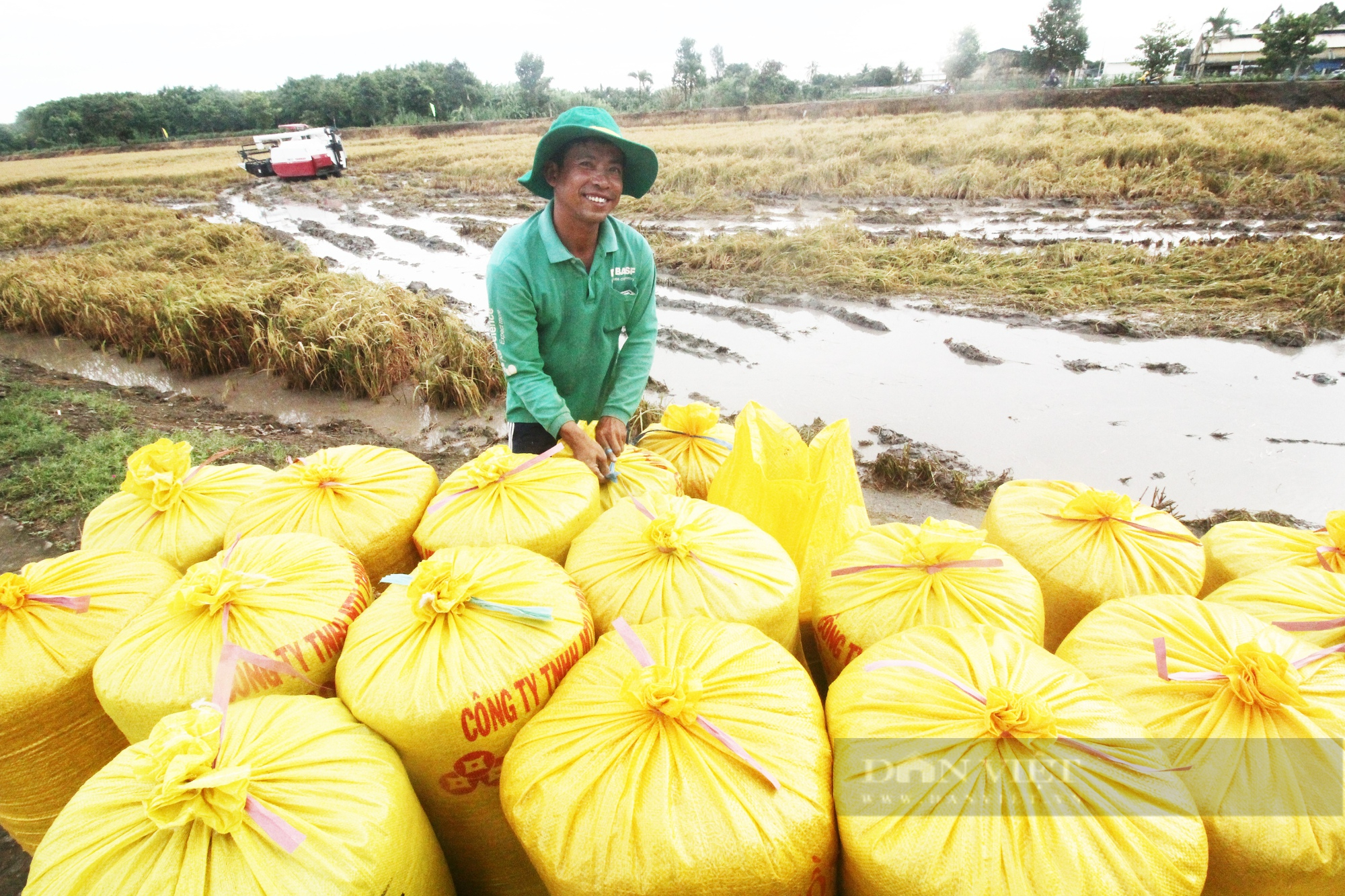 Phó Chủ tịch Hội Nông dân Việt Nam Cao Xuân Thu Vân kêu gọi nông dân liên kết sản xuất nông sản có trách nhiệm - Ảnh 2.