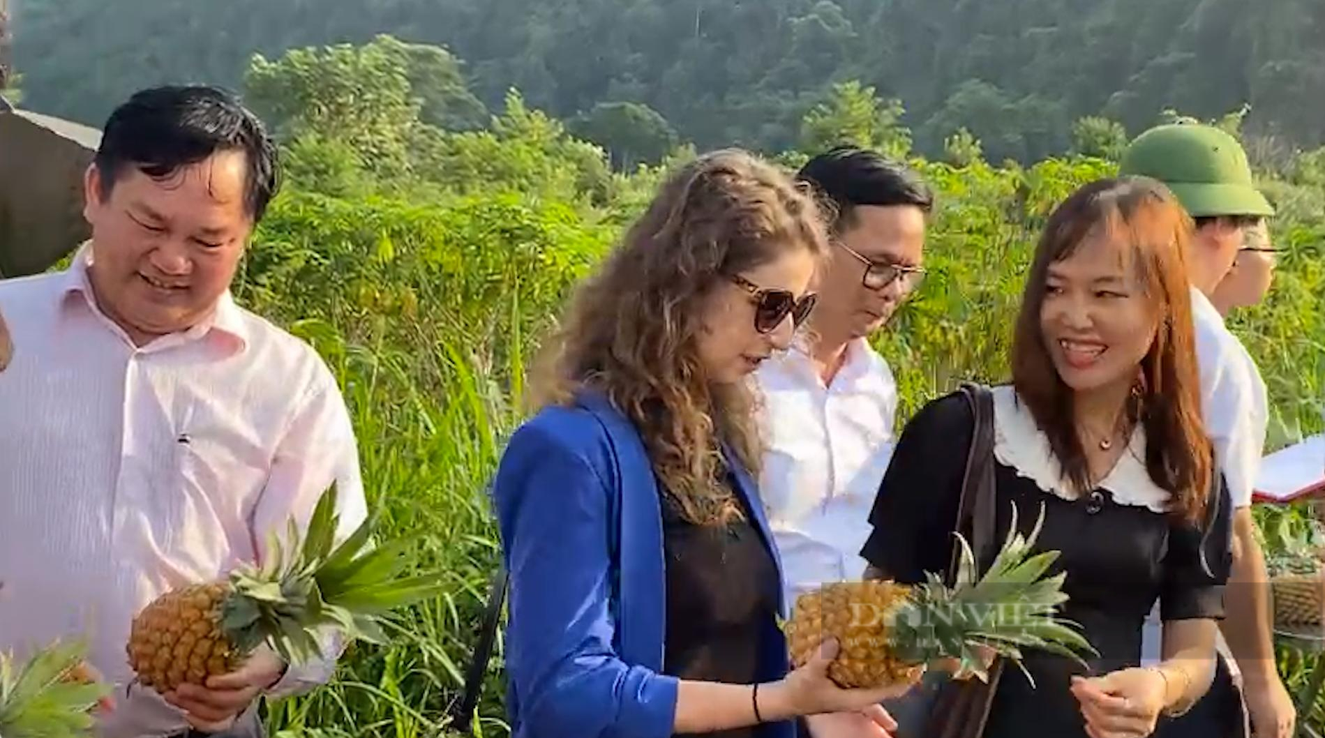 Lên Lai Châu xem bà con trồng cây ăn quả sản xuất hàng hoá - Ảnh 5.