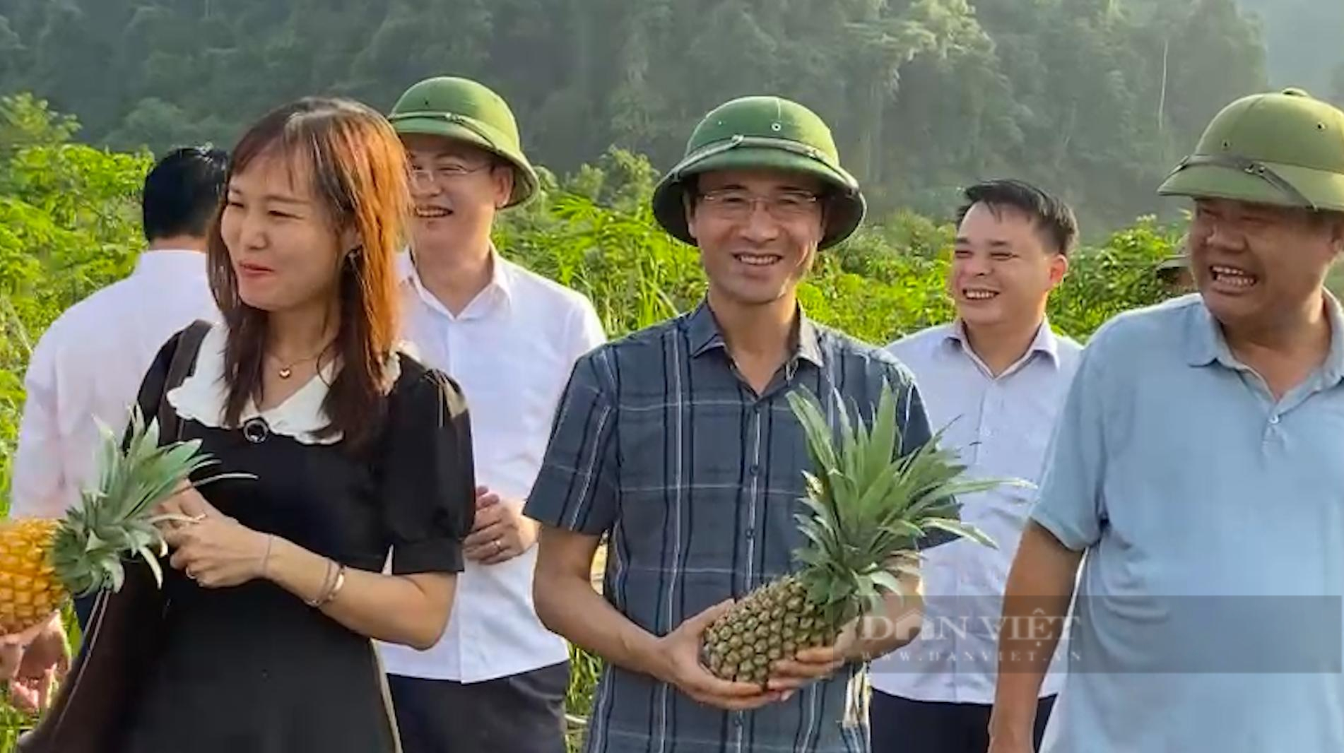 Lên Lai Châu xem bà con trồng cây ăn quả sản xuất hàng hoá - Ảnh 8.