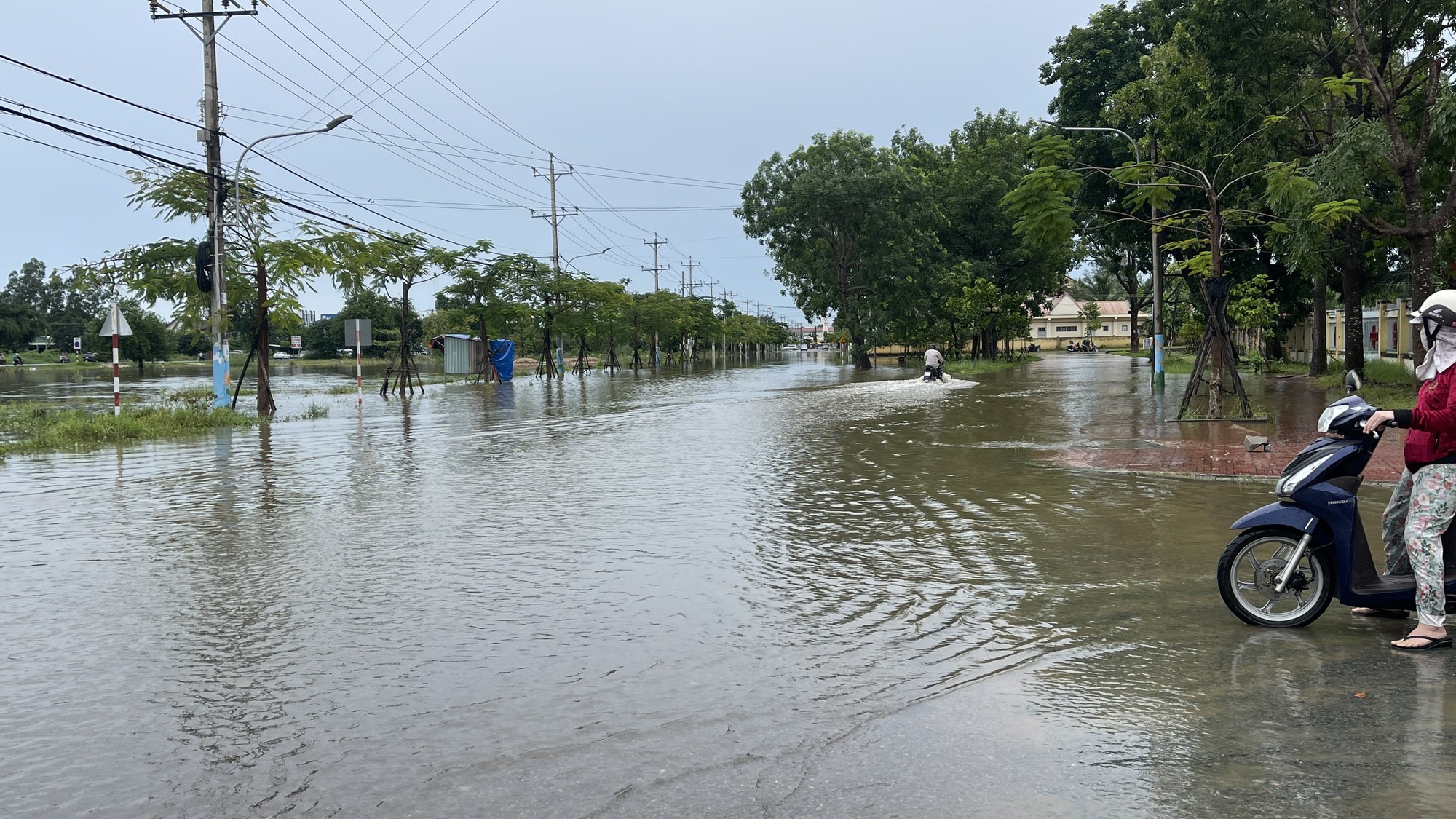 Bình Thuận: Gần 400 ha thanh long và nhiều căn nhà bị ngập vì mưa lũ - Ảnh 2.