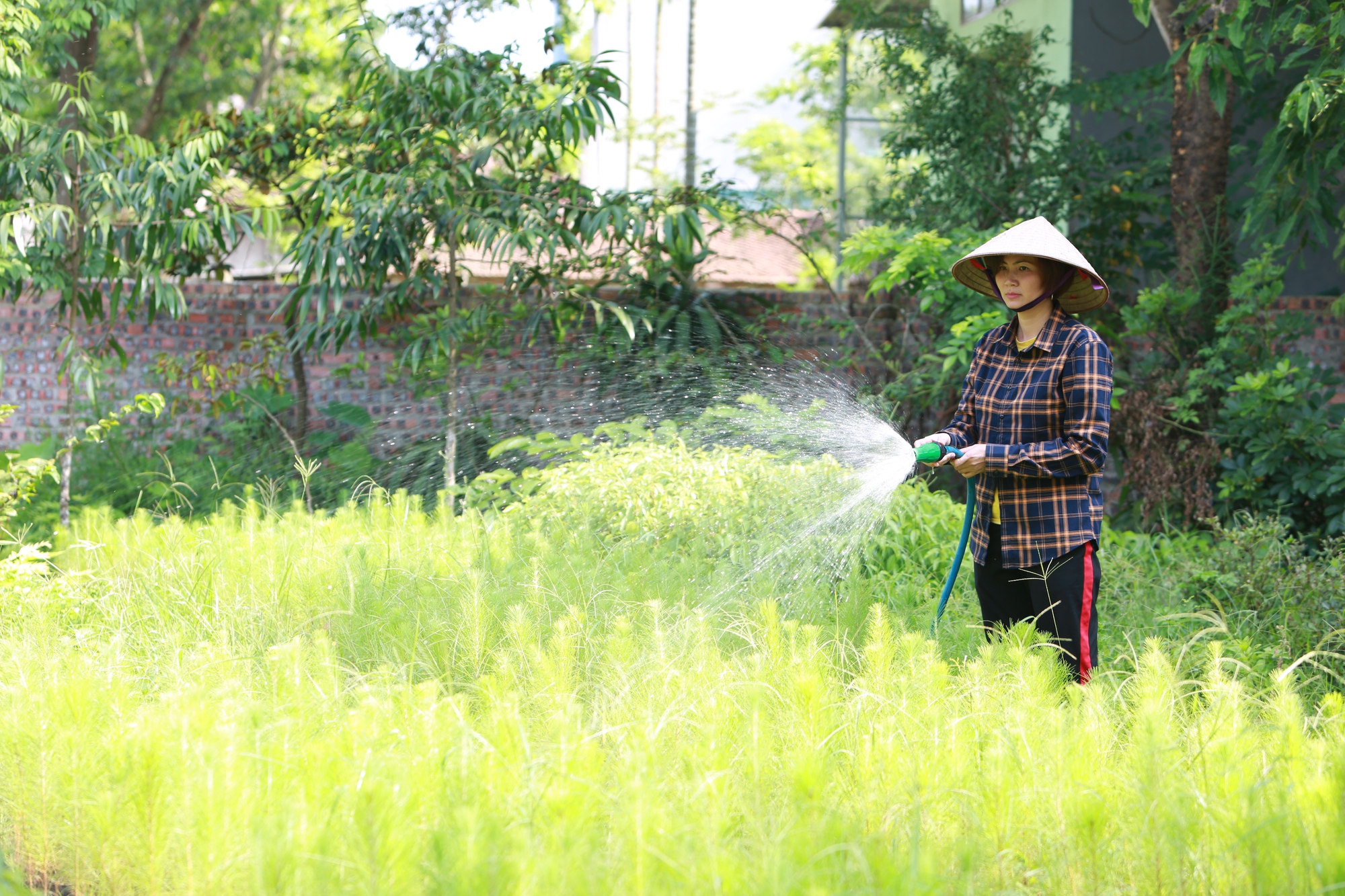 Một Nông dân Việt Nam xuất sắc 2022 đến từ Bắc Giang trồng cây công trình giúp cả một vùng quê đổi đời - Ảnh 3.