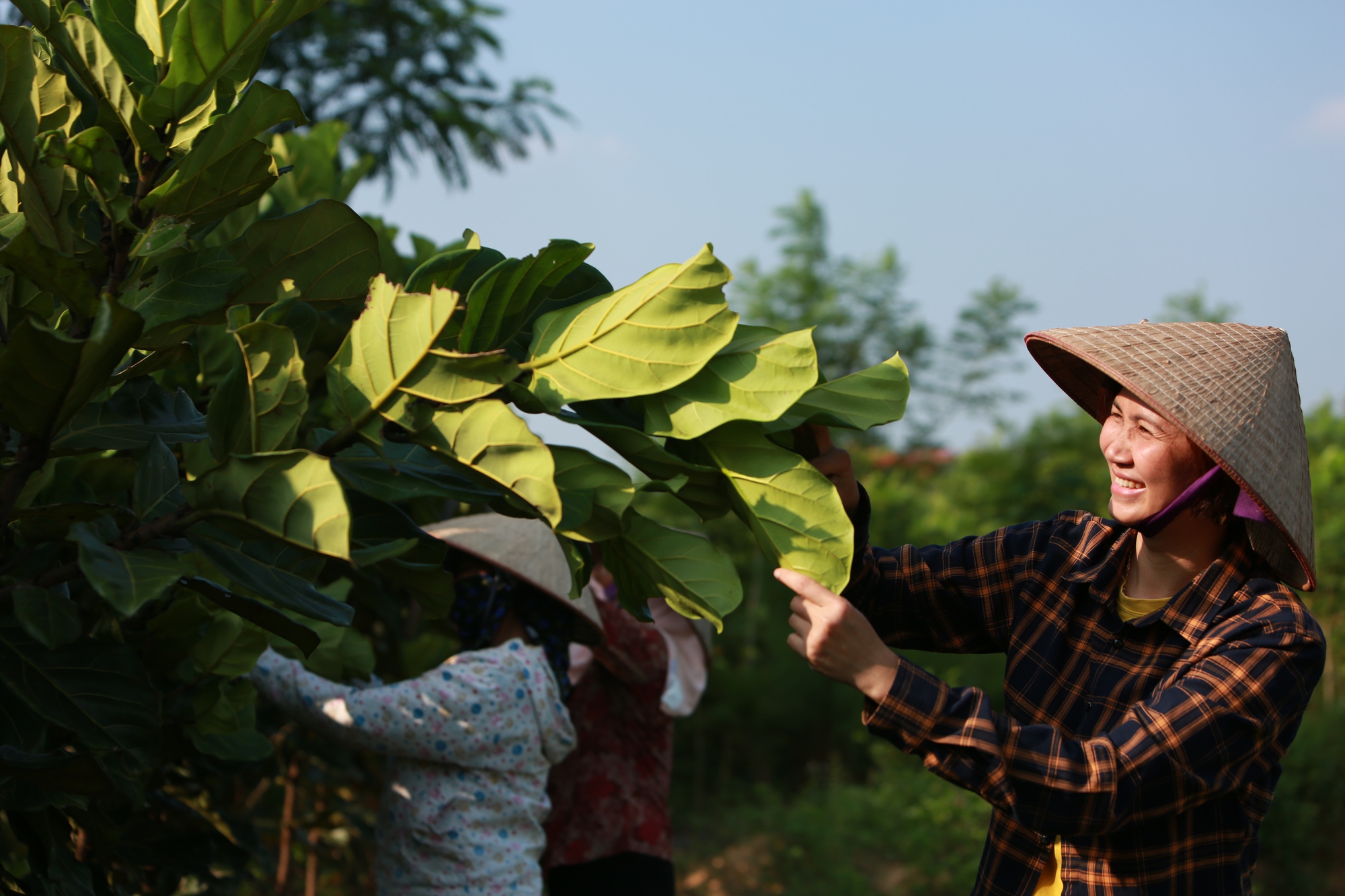 Một Nông dân Việt Nam xuất sắc 2022 đến từ Bắc Giang trồng cây công trình giúp cả một vùng quê đổi đời - Ảnh 4.