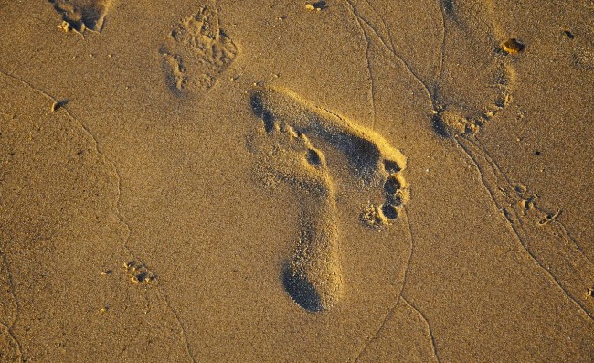 Bất ngờ phát hiện những &quot;dấu chân ma&quot; bí ẩn  trên sa mạc - Ảnh 1.