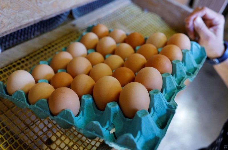 Giá trứng tăng cao buộc ngành công nghiệp thực phẩm Pháp phải thay đổi công thức nấu ăn - Ảnh 1.