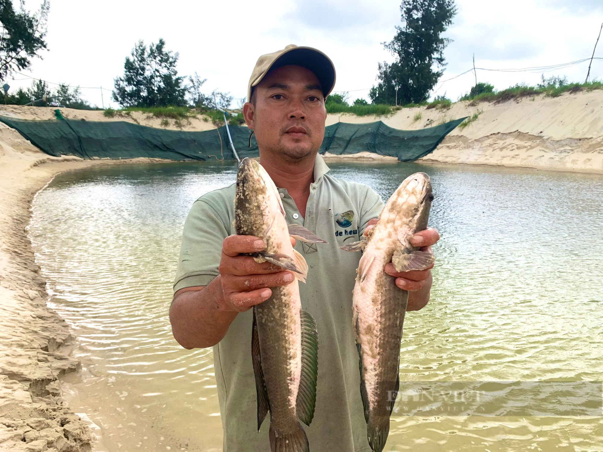 Sét đánh khiến hàng tấn cá lóc của nông dân Quảng Bình chết trắng - Ảnh 2.