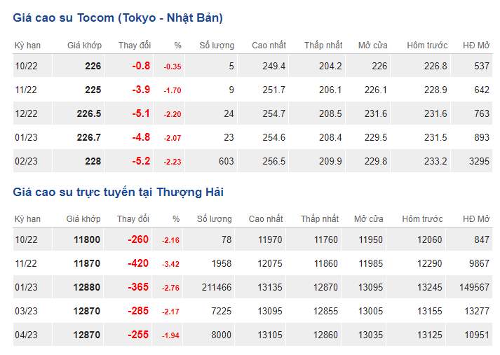 Giá cao su hôm nay 11/10: Giá cao su giảm đỏ toàn thị trường - Ảnh 1.