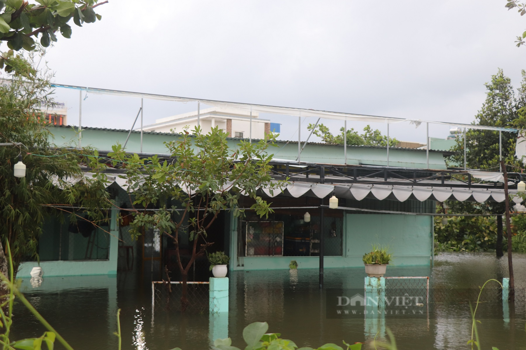 Quảng Nam: Người dân dùng ghe, thuyền di chuyển giữa phố mùa lũ lụt - Ảnh 1.