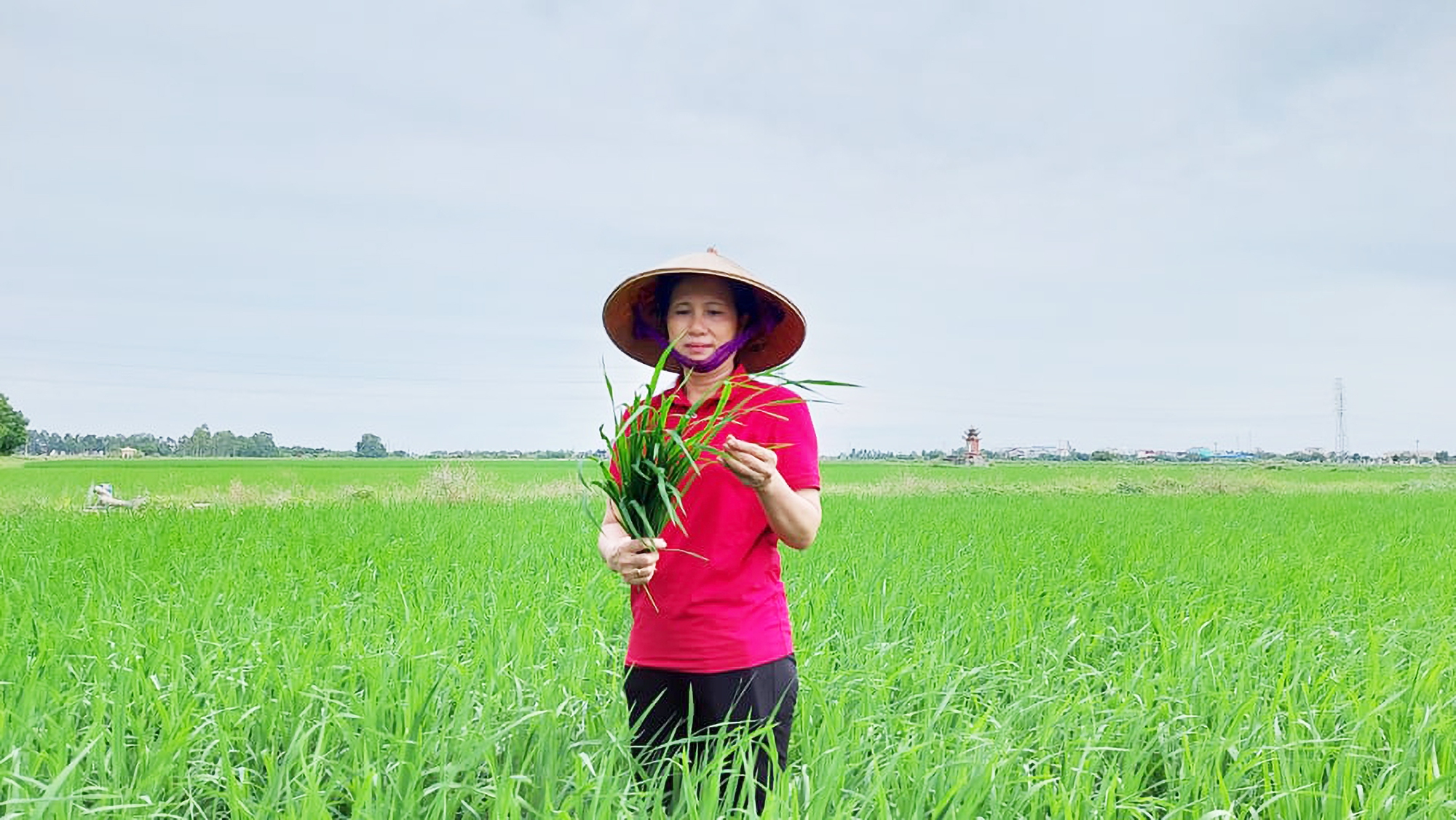 10 năm Chương trình Tự hào Nông dân Việt Nam, những 