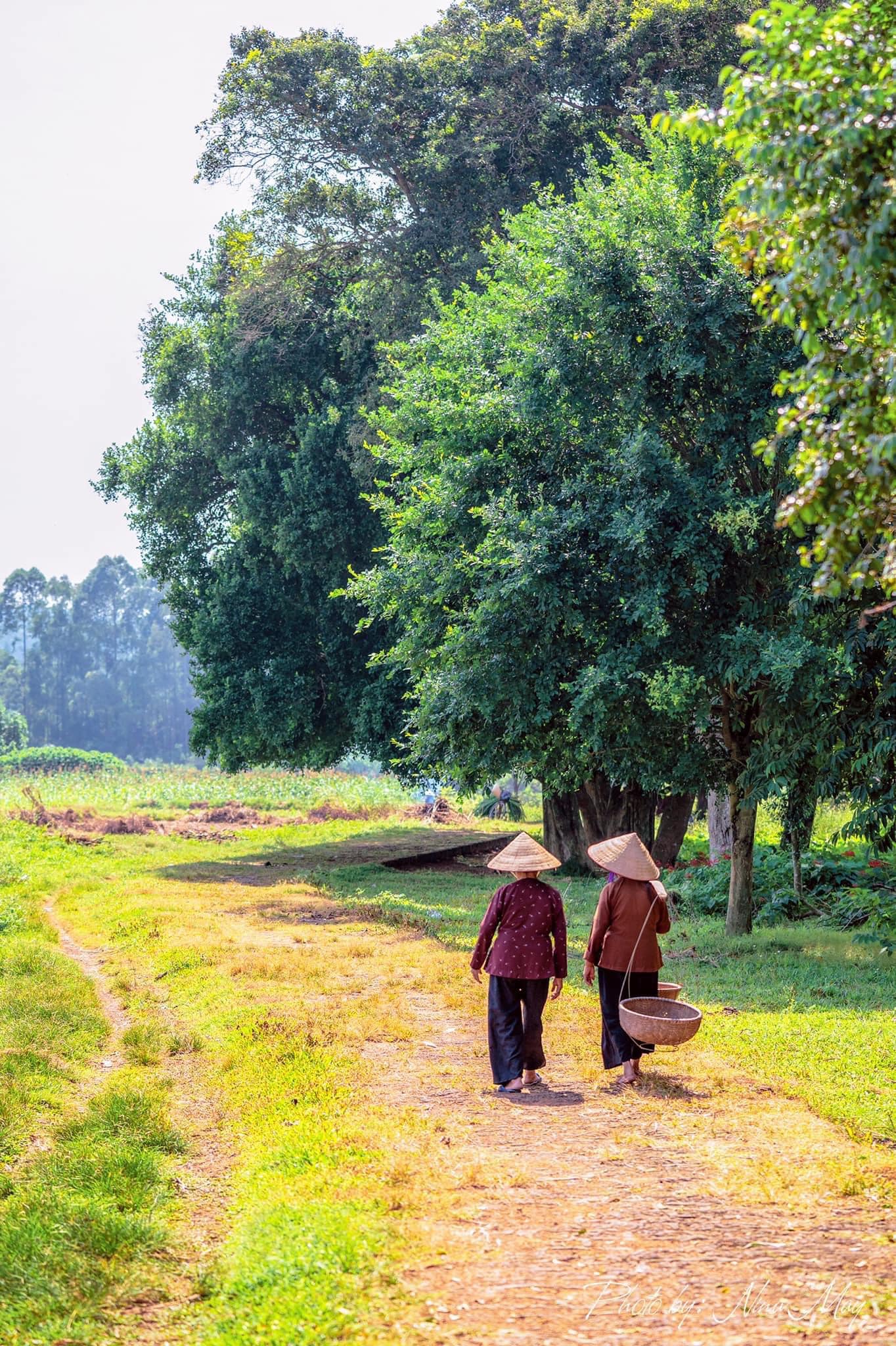 Ngỡ ngàng với những ngôi làng nhuốm màu thời gian trải dài khắp Việt Nam - Ảnh 6.