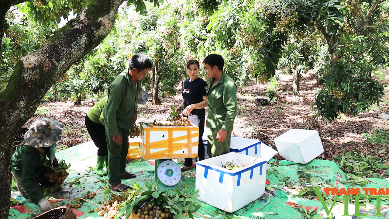 Yêu Châu: Đồng lòng xây dựng nông thôn mới - Ảnh 7.