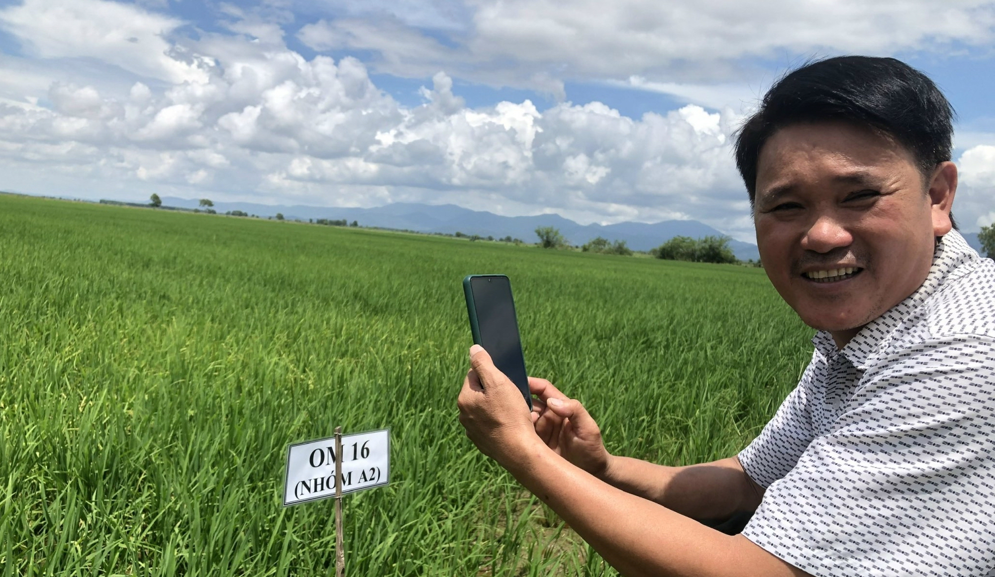 Hành trình đưa Gạo Tánh Linh ăn ngon, nổi tiếng trong và ngoài nước - Ảnh 4.