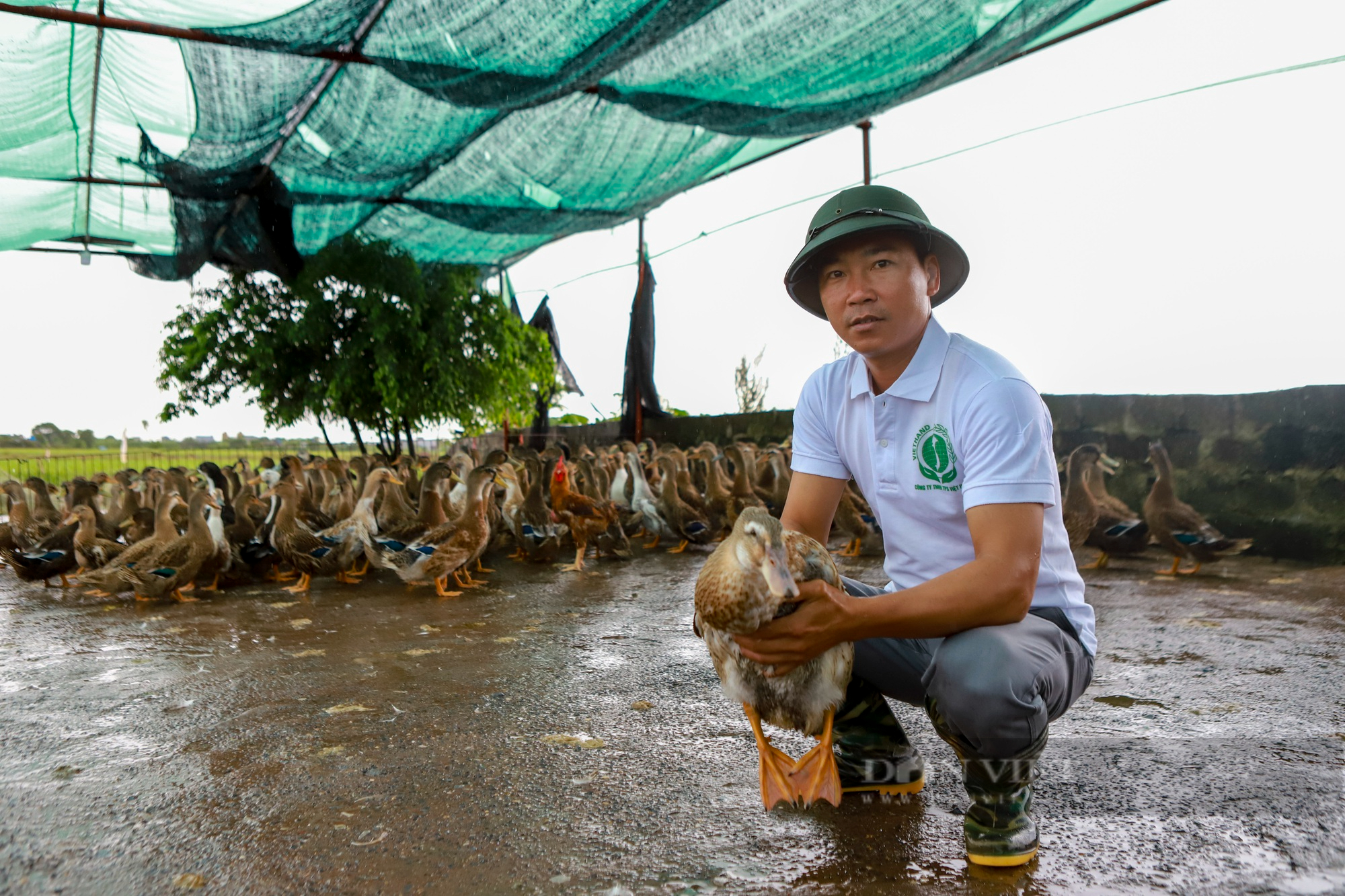 Nuôi vịt biển cho thu lãi 2 tỷ đồng/năm, một nông dân tỉnh Thái Bình là Nông dân Việt Nam xuất sắc 2022 - Ảnh 4.