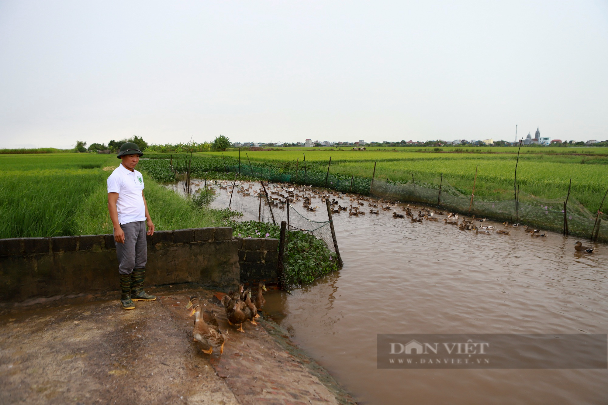 Nuôi vịt biển cho thu lãi 2 tỷ đồng/năm, một nông dân tỉnh Thái Bình là Nông dân Việt Nam xuất sắc 2022 - Ảnh 7.