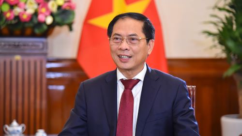 Bộ trưởng Bùi Thanh Sơn: Việt Nam trúng cử Hội đồng Nhân quyền LHQ có ý nghĩa rất quan trọng  - Ảnh 1.