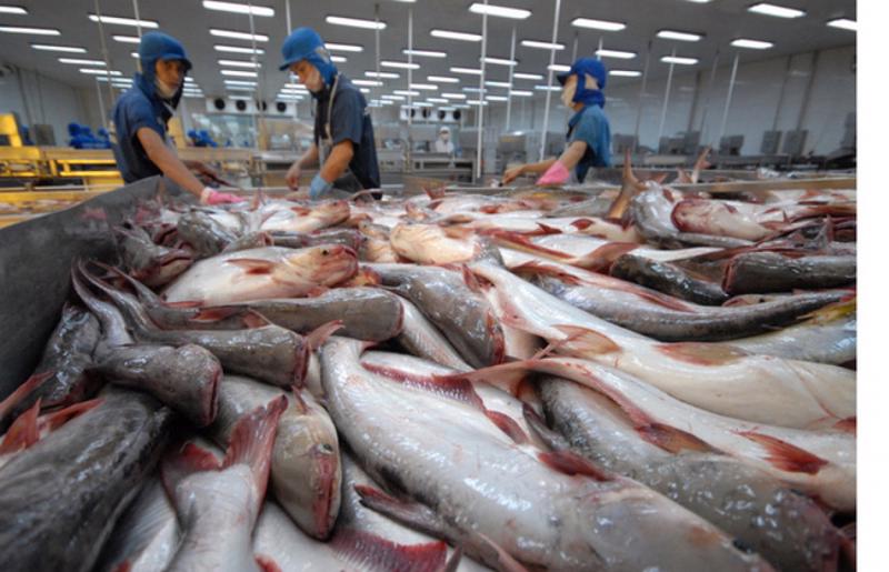 Tăng trưởng xuất khẩu cá tra 100% trong tháng 9/2022 - Ảnh 1.