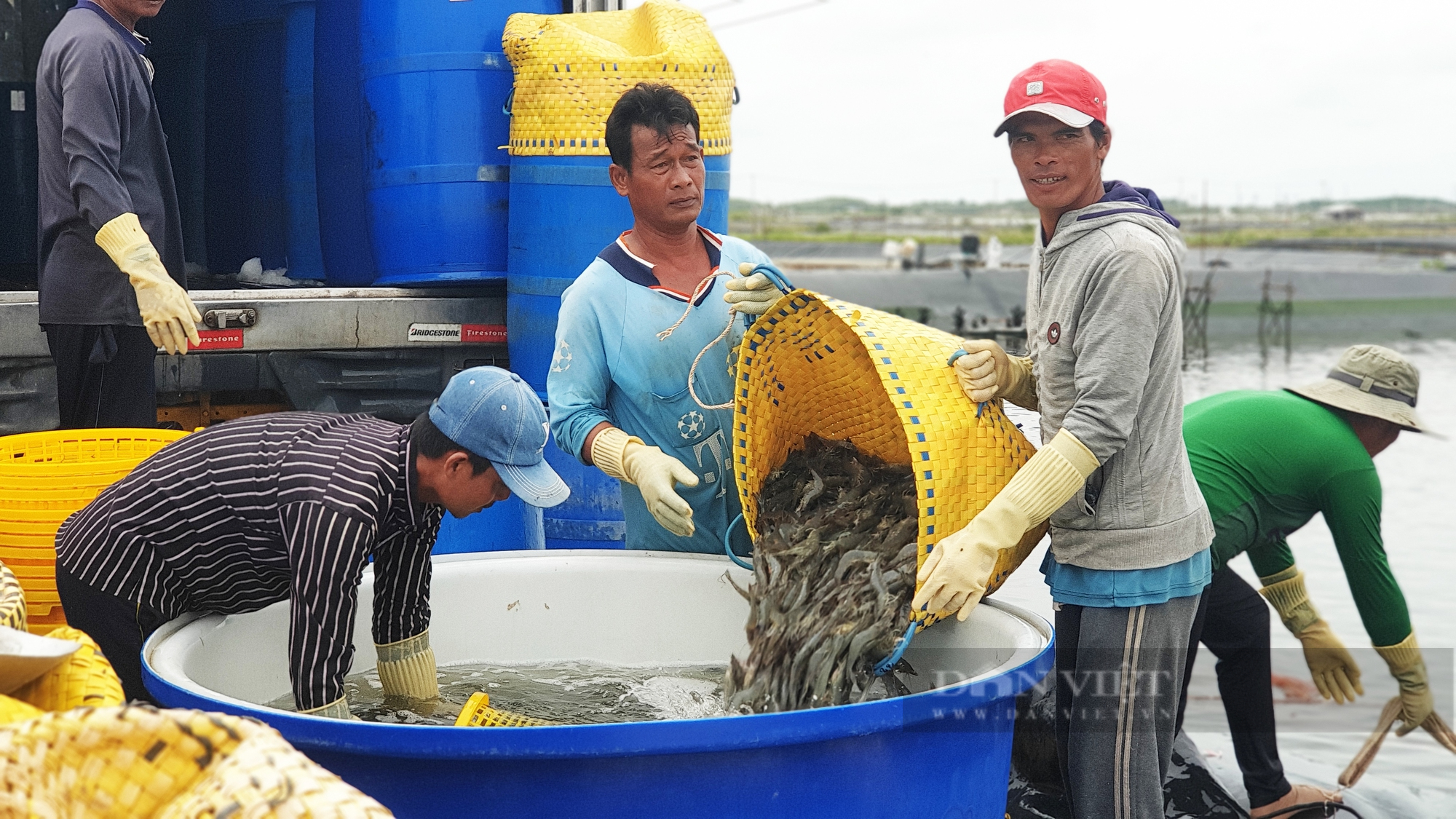 Bộ trưởng Bộ NNPTNT Lê Minh Hoan: Ngành thủy sản đang đứng trước thách thức lớn  - Ảnh 2.