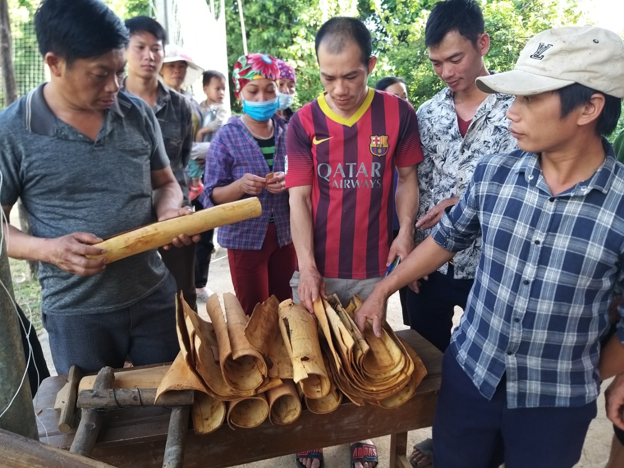 Trồng loài cây này thành rừng, bán cả lá lẫn vỏ, nông dân Lào Cai thu hơn 600 tỷ đồng (Bài 5) - Ảnh 6.