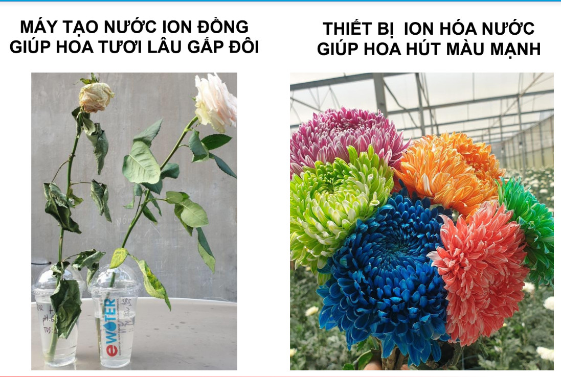 Hỗ trợ doanh nghiệp trong lĩnh vực khoa học và công nghệ tiếp cận hiệu quả các chính sách ưu đãi - Ảnh 3.