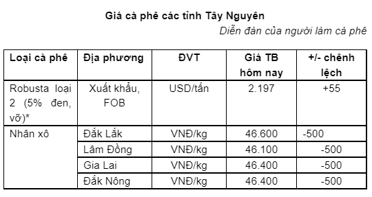 Cà phê dẫn đầu kim ngạch xuất khẩu lĩnh vực nông sản, triển vọng niên vụ mới - Ảnh 1.