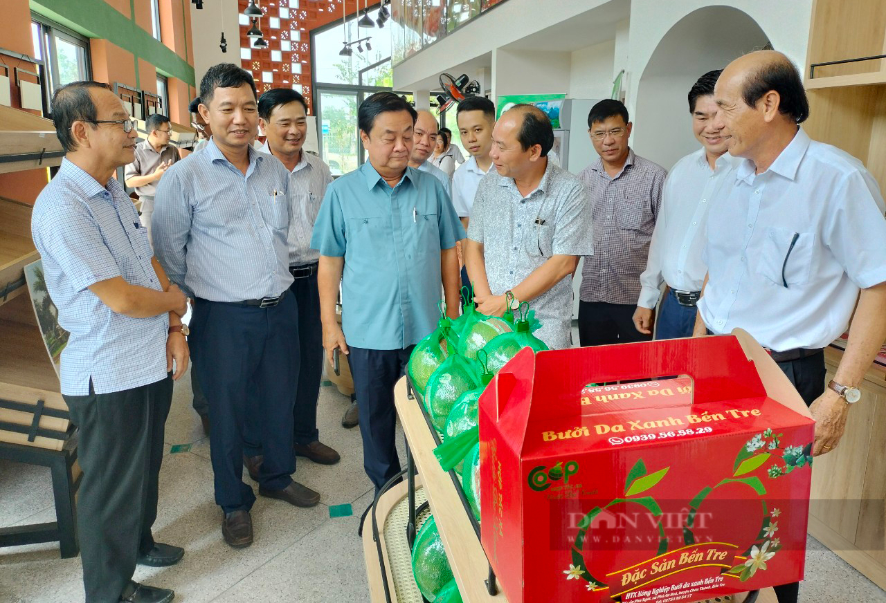 Bộ trưởng Lê Minh Hoan: Bến Tre cần quan tâm nâng cao chất lượng cây giống - Ảnh 1.
