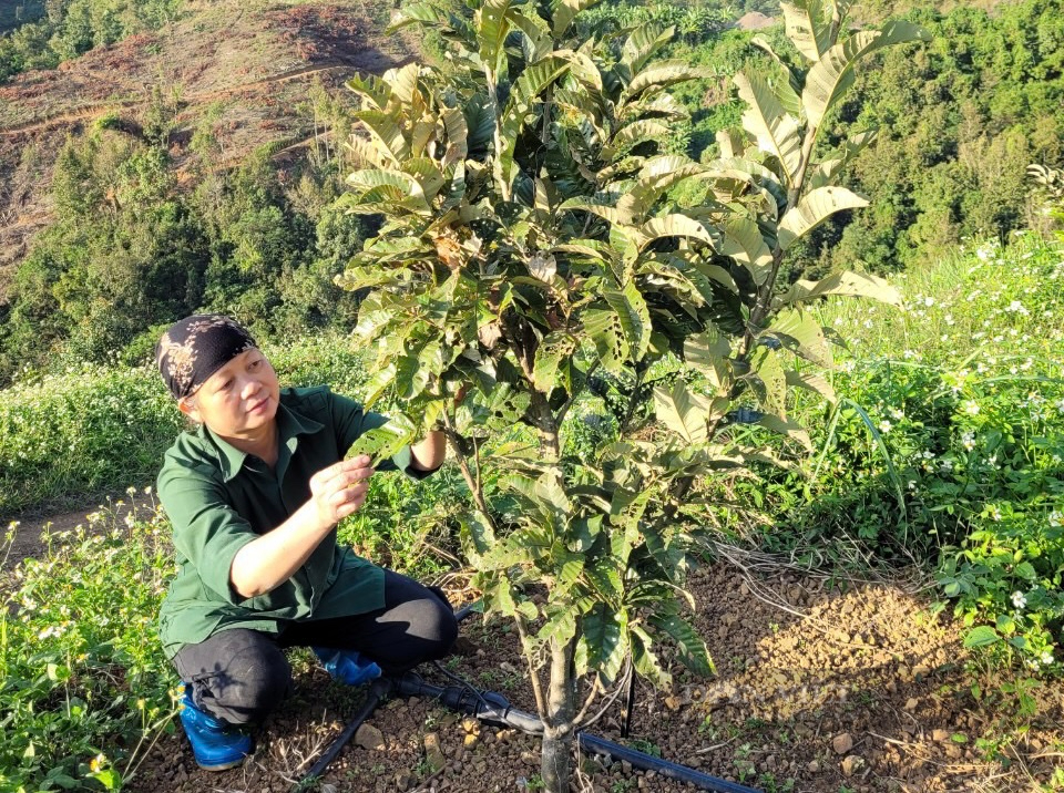 Nông dân Việt Nam xuất sắc tỉnh Cao Bằng: Từ người bán đậu phụ rong thành bà chủ trang trại trị giá 20 tỷ đồng - Ảnh 2.