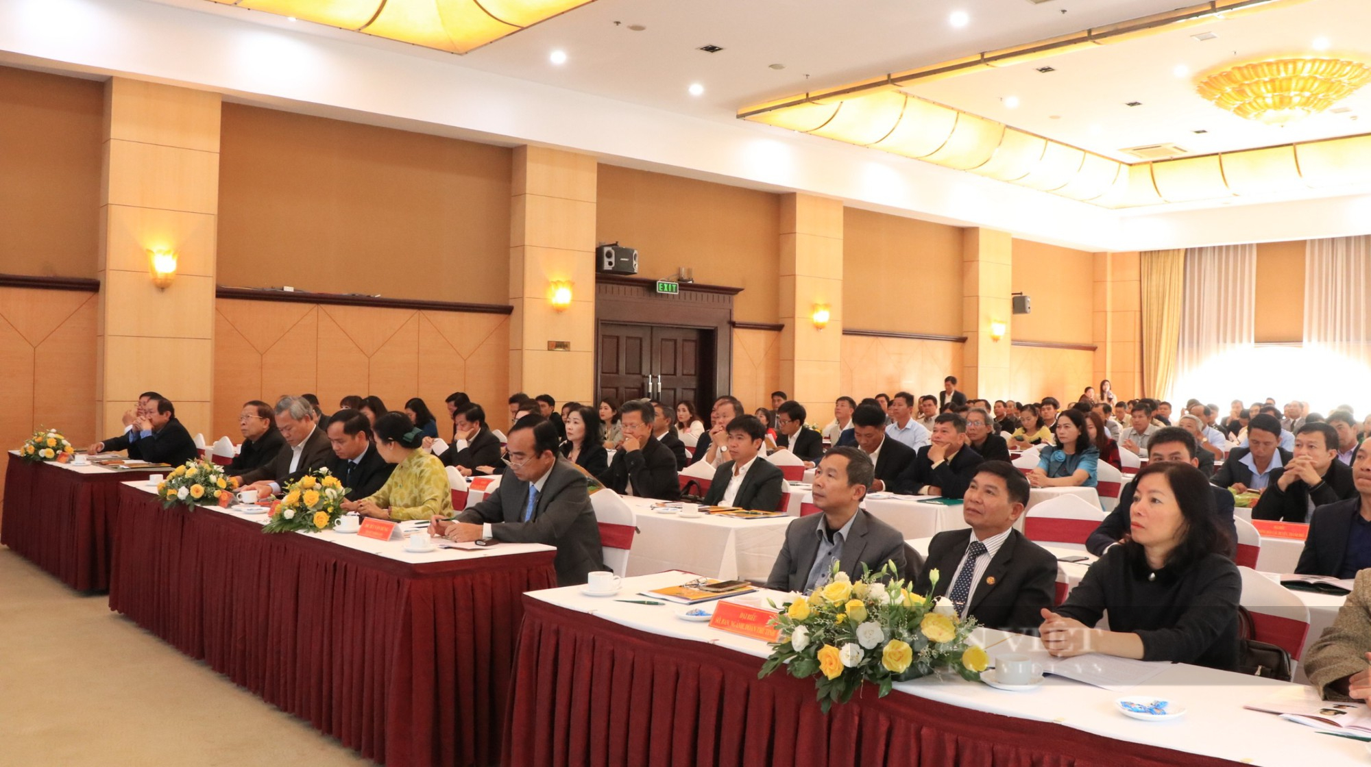 5 năm phong trào nông dân sản xuất kinh doanh giỏi ở Lâm Đồng: Xuất hiện nhiều mô hình vốn kinh doanh hàng trăm tỷ - Ảnh 1.