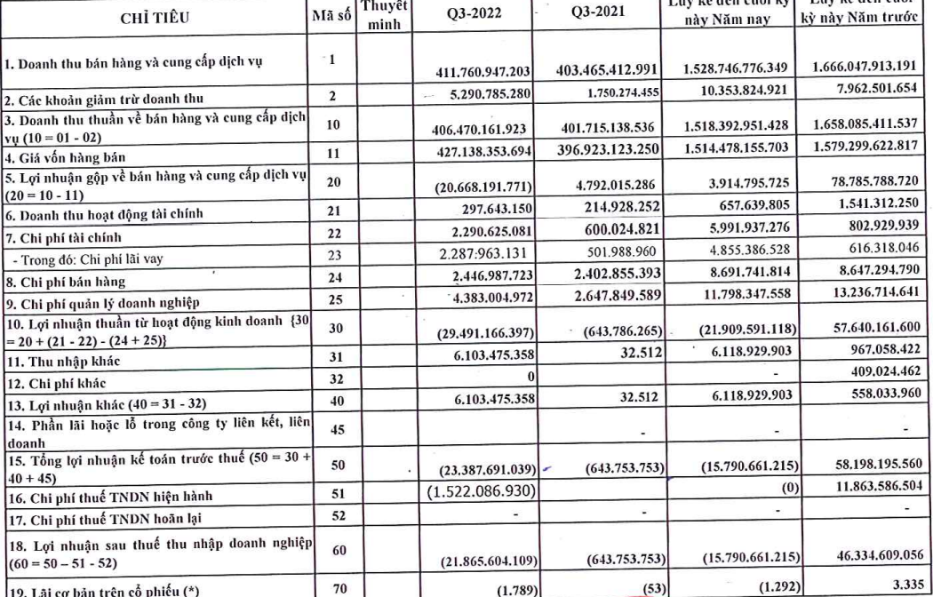 Kinh doanh dưới giá vốn, Thép Thủ Đức (TDS) báo lỗ 22 tỷ đồng trong quý III/2022 - Ảnh 1.