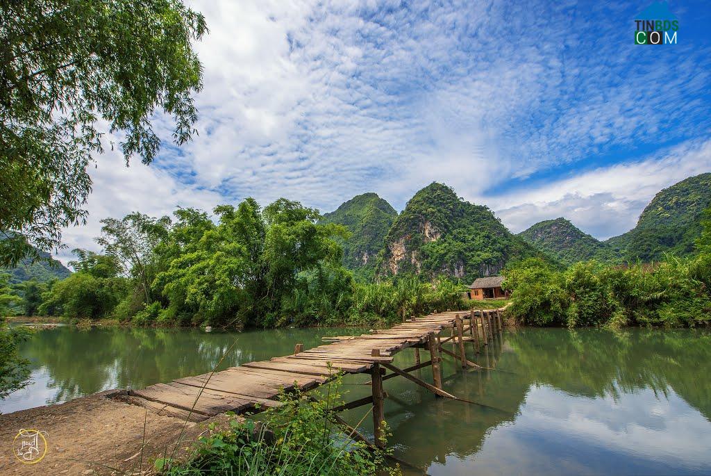 Một người trồng rừng, đam mê chế biến gỗ ở Lạng Sơn được bình chọn danh hiệu &quot;Nông dân Việt Nam xuất sắc 2022&quot; - Ảnh 1.