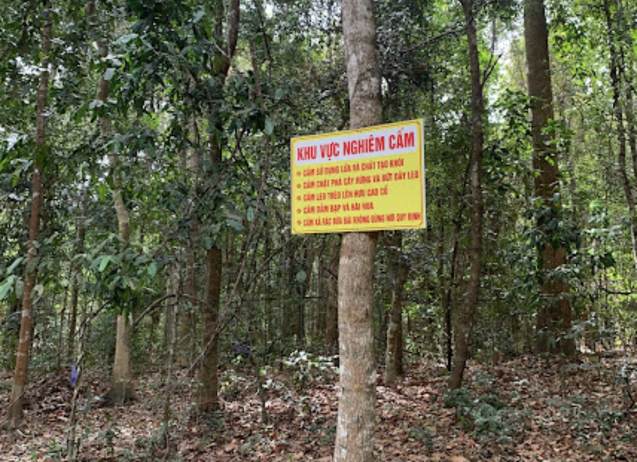 Vụ phá rừng Bình Châu - Phước Bửu: Khởi tố thêm 2 cán bộ kiểm lâm - Ảnh 1.