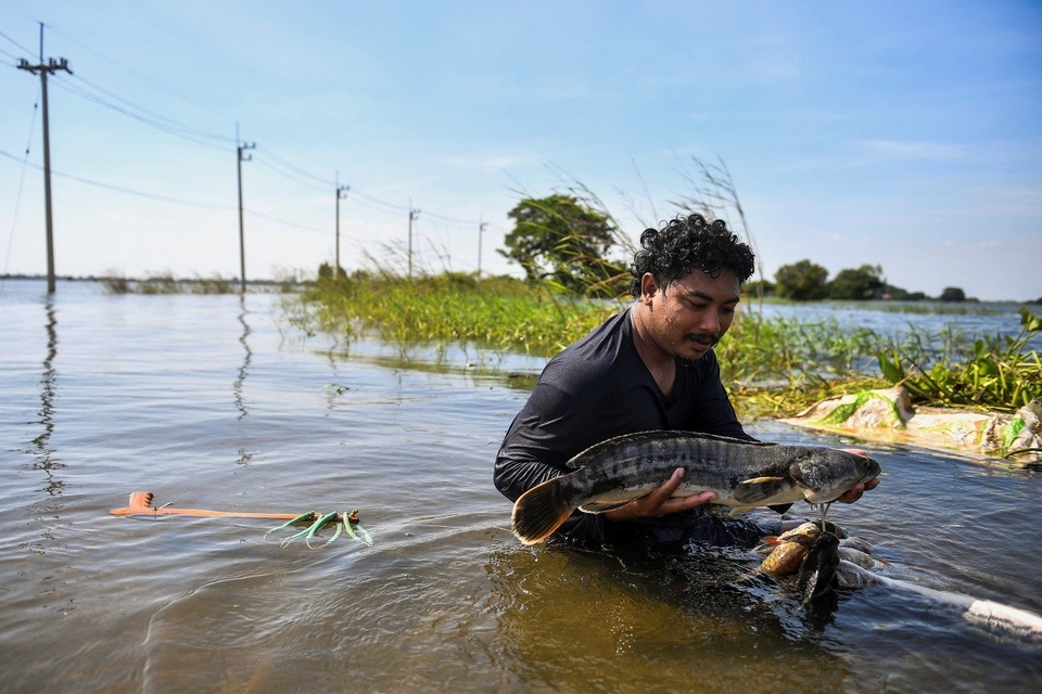 Hình ảnh thành tâm điểm chú ý trong trận ngập lụt lớn ở Thái Lan - Ảnh 8.