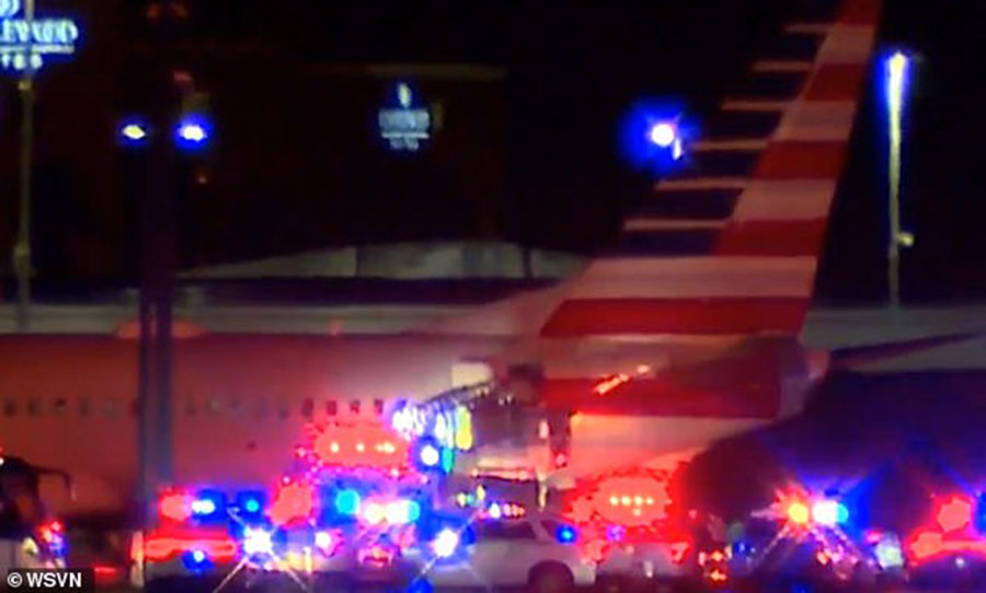 Máy bay của American Airlines hạ cánh khẩn cấp vì sự cố cabin bốc mùi lạ - Ảnh 3.