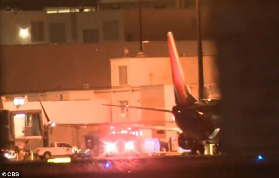 Máy bay của American Airlines hạ cánh khẩn cấp vì sự cố cabin bốc mùi lạ - Ảnh 4.
