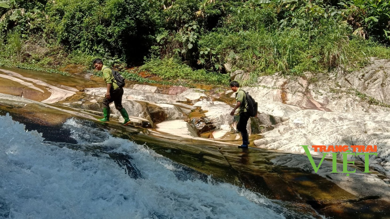 Hạt Kiểm lâm huyện Văn Bàn “vượt khó” giữ màu xanh của rừng - Ảnh 2.