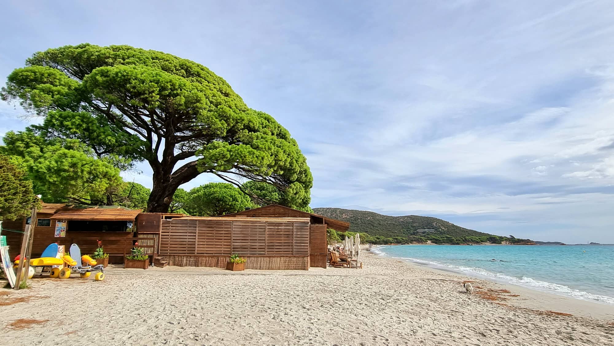 Đảo Corse, vẻ đẹp yêu kiều giữa Địa Trung Hải - Ảnh 10.