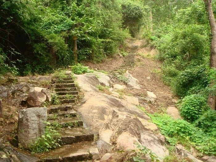 Đã tìm thấy người phụ nữ đi lạc trên núi Tà Cú tỉnh Bình Thuận  - Ảnh 1.