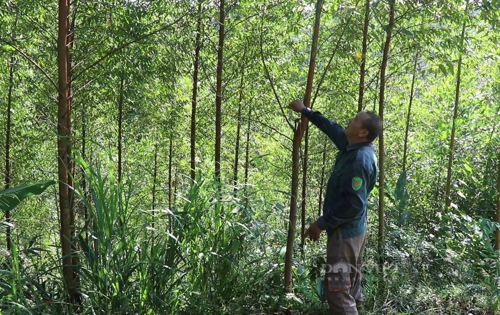 Bắc Kạn: Tiền hỗ trợ thiên tai về đến xã hơn một năm, nhiều hộ dân vẫn chưa được nhận - Ảnh 2.