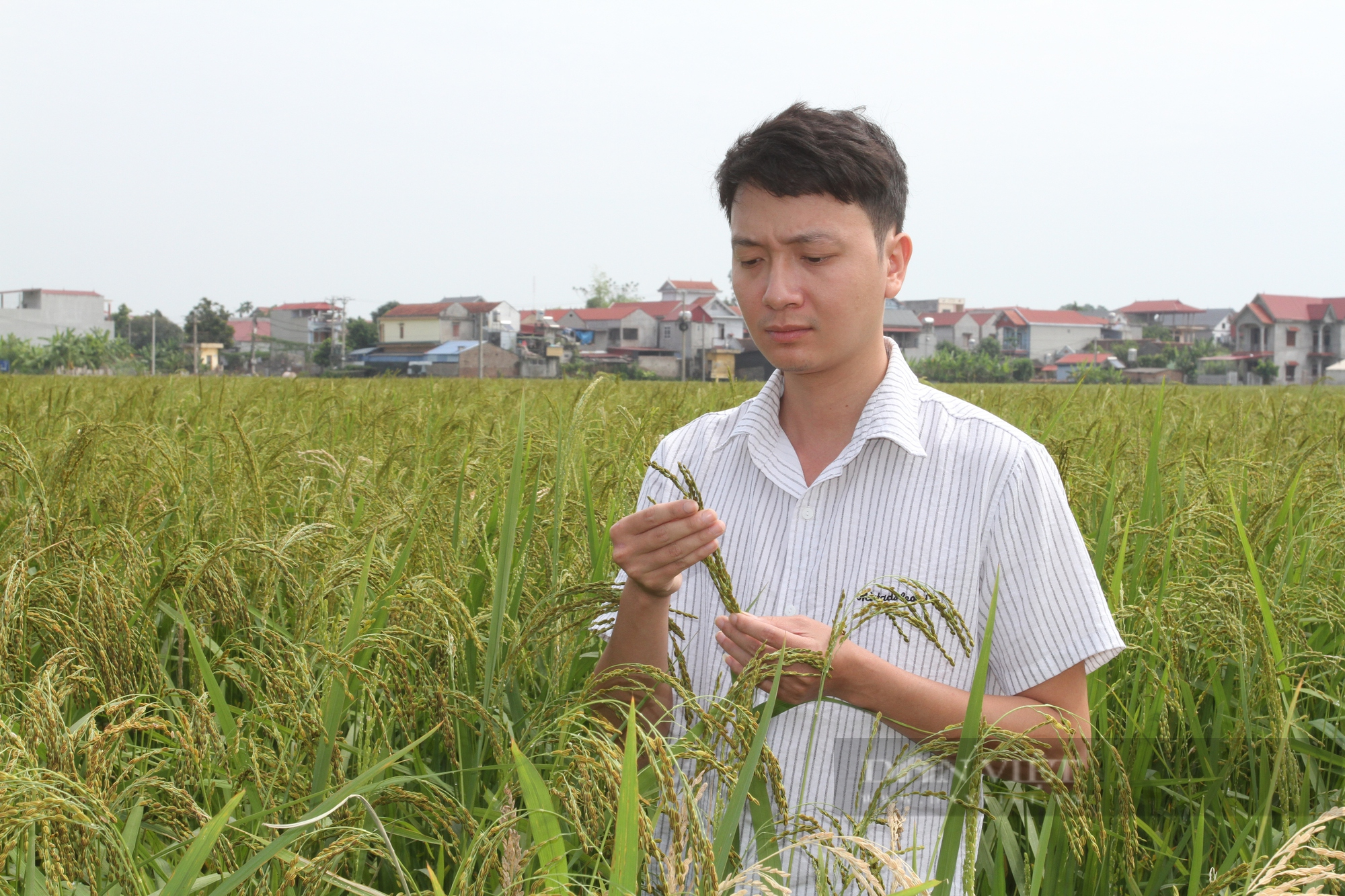 Thái Nguyên: Phó Bí thư đoàn xã đưa thương hiệu gạo nếp Thầu dầu và tương Úc Kỳ đi khắp muôn nơi - Ảnh 7.