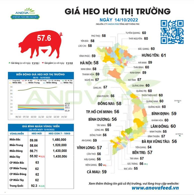 Giá lợn hơi Trung Quốc tiếp tục tăng, lợn trong nước lại quay đầu giảm mạnh - Ảnh 1.